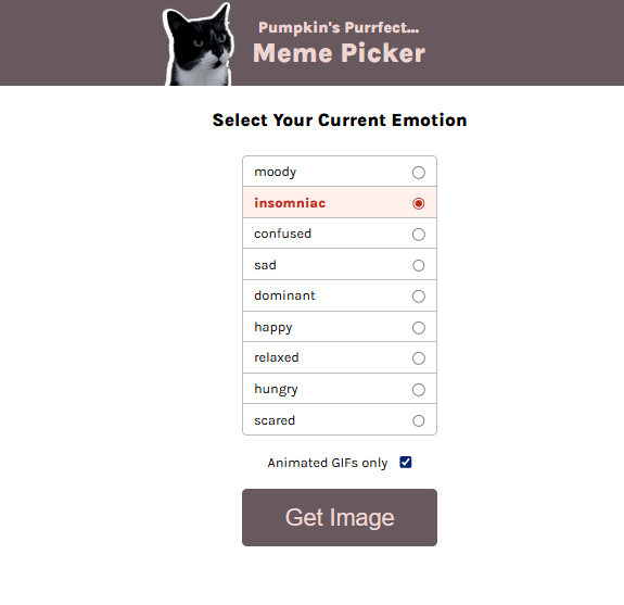 Image of Purrfect Meme Picker